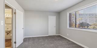 Swift at Riverdale Park Gallery 36