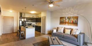 Anatole on Briarwood Gallery 37