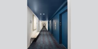 Solstice on the Park Gallery 19