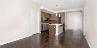 The Lex The Lex Gallery 13