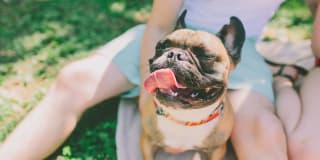 THIRTY377 Gallery 26