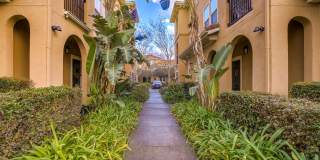 4800 Westlake Pkwy #3008 Gallery 1