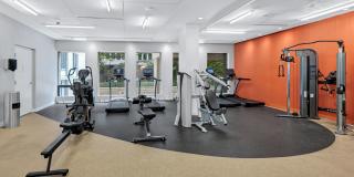 Crystal Plaza Apartments Gallery 67