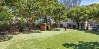 CitySouth Gallery 42