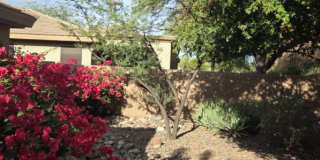 41419 North Fairgreen Way Gallery 1