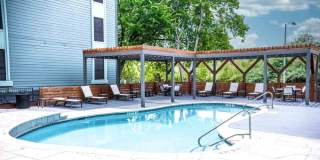 Treehouse Treehouse Gallery 10