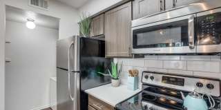 Tenison at White Rock Gallery 1