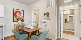 Springs at Mount Pleasant Gallery 9