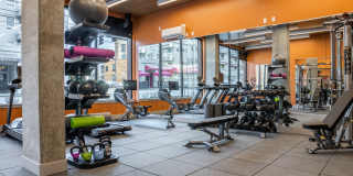 Center Steps Center Steps Gallery 3