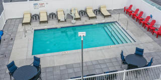800 Isabel Bloom Way #3305 Gallery 3