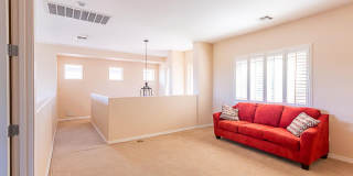 642 E Torrey Pines Place Gallery 23