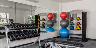 Montclair Terrace Gallery 9