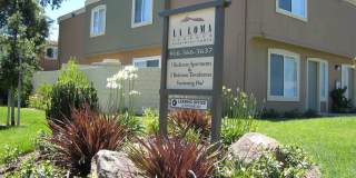 La Loma Terrace Gallery 1