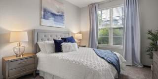 Springs at Knapp's Crossing Gallery 6