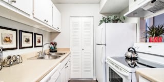 Cooper's Pond Gallery 1