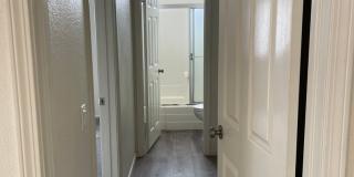 Horvath Apartments Gallery 7