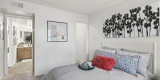 North Mountain Village Gallery 20