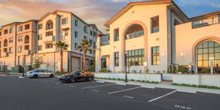 Vineyards Gallery 52