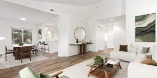 Cade Gallery 7