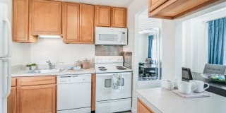 Edlandria Edlandria Gallery 1