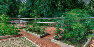 Nutmeg Woods Gallery 11