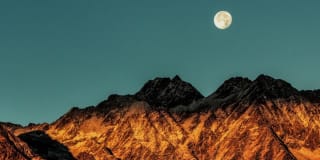 Avana at the Pointe Gallery 36