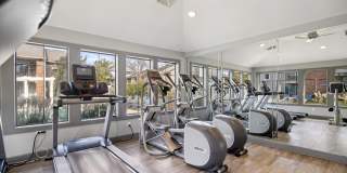 Harmony on Main Gallery 21