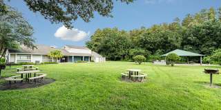 Cadia on the Loop Gallery 23