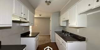 7038 Cherry Blossom Drive Gallery 6