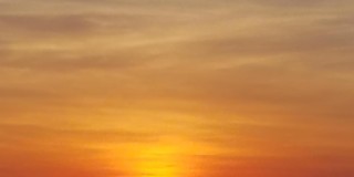 212 ST JOHNS Avenue unit: 212 Gallery 50