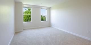 Cronin's Landing Gallery 8