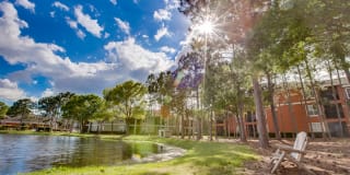 TGM Palm Aire Gallery 13