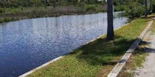 Coral Key Gallery 11