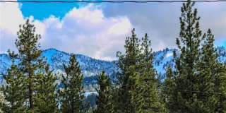 42830 Cougar Road Gallery 21