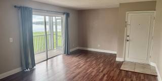1/1 Lakefront Living in Carrollwood! Available July 10th! Gallery 4