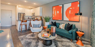 Buffalo at Desert Shores Gallery 2