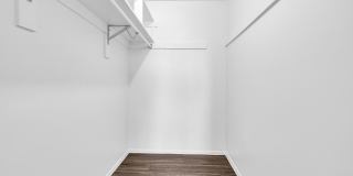 6 Bedrooms, 3 Bath,  Pool CLOSE TO ASU (Rural & Broadway) Gallery 44