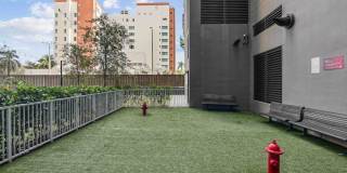 Alea Miami Gallery 54