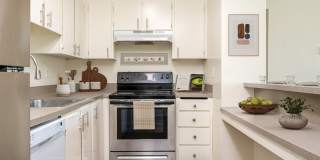 Lakeview Park Gallery 11