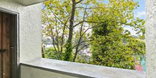 West Seattle Flats Gallery 24