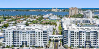 Tortoise One Gallery 59