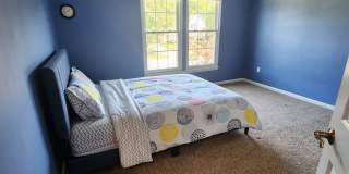 Gorgeous 4 Bedroom Home For Rent in Avon Gallery 33