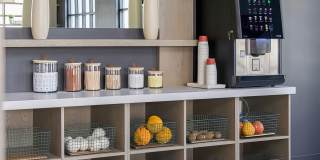 Novel Cary Gallery 41