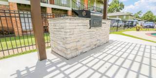 Spring Pine Gallery 9