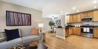 Stuart Hill Gallery 8