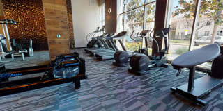 Modera Hollywood Modera Hollywood Gallery 30