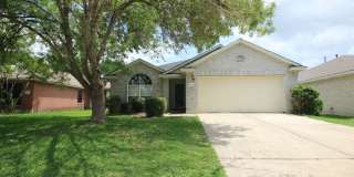Lovely large updated 3 bed, 2 bath house w/ 2 living & 2 dining areas in Austins Colony Gallery 1