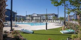 Prose Evergreen Gallery 1