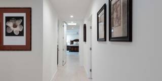 101 Columbia Drive Gallery 31
