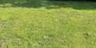 66 Russell Drive, Lot # 9 Gallery 1